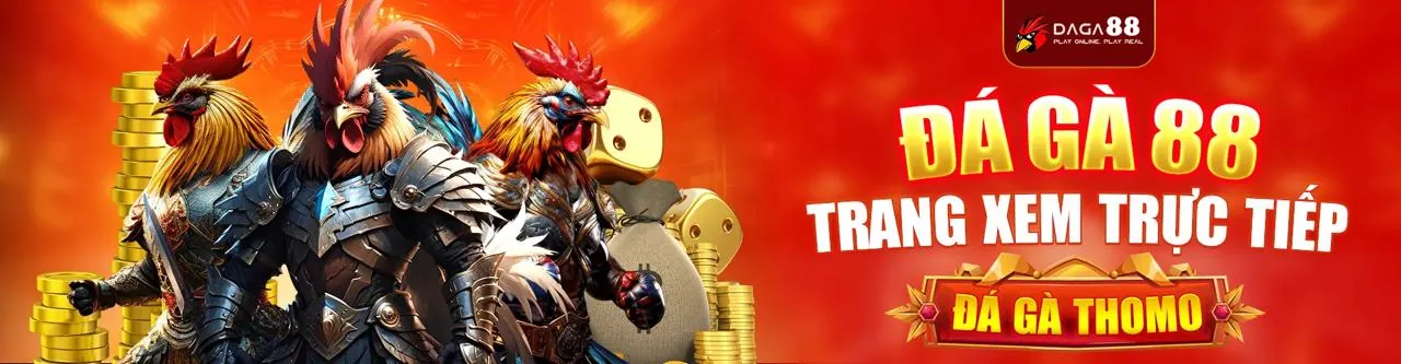 Hình ảnh chính về cá cược thể thao tại x1bet link mới